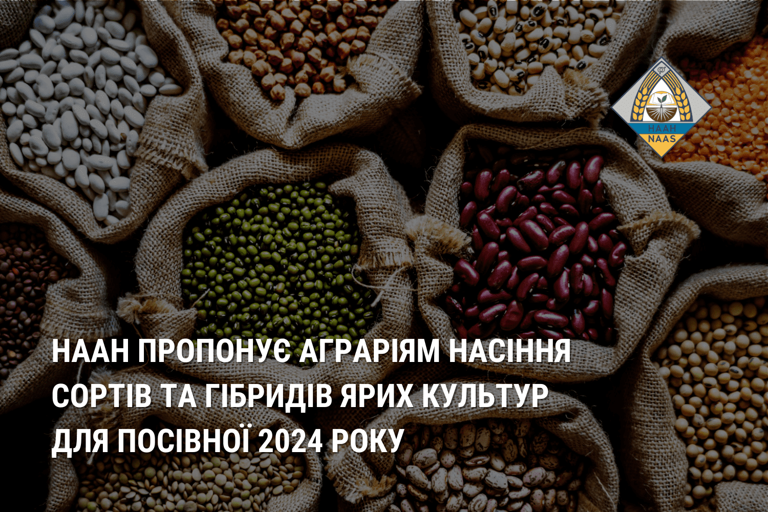 НААН пропонує аграріям насіння сортів та гібридів ярих культур для посівної 2024 року